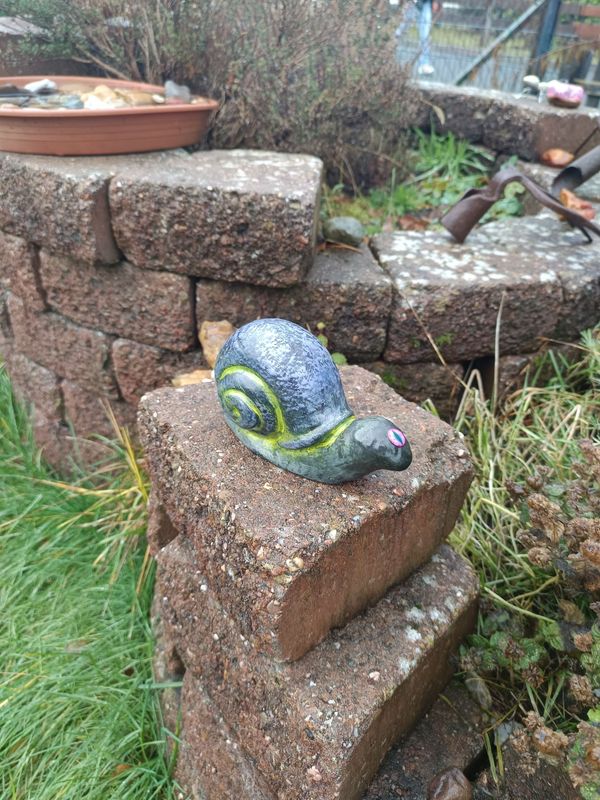 Seuchen Rennschnecke Seuchen Rennschnecke