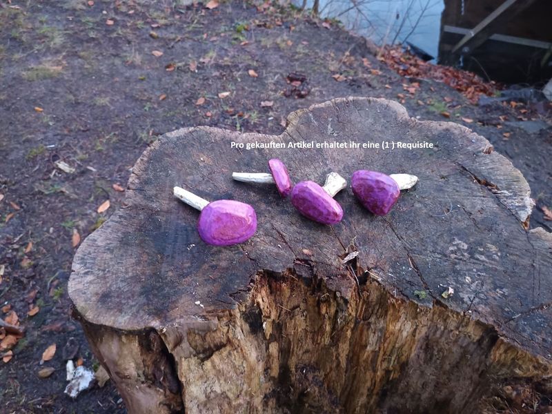 Finsterkappe (Pilz) Finsterkappe (Pilz)