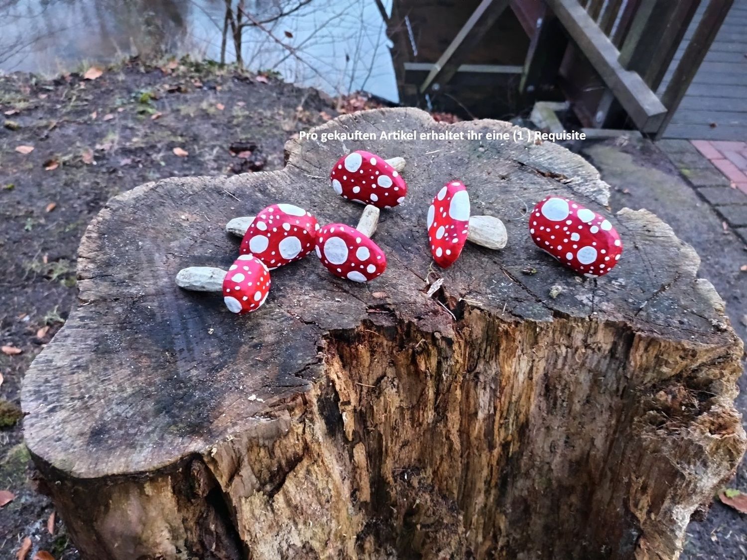 Fliegenpilz Fliegenpilz