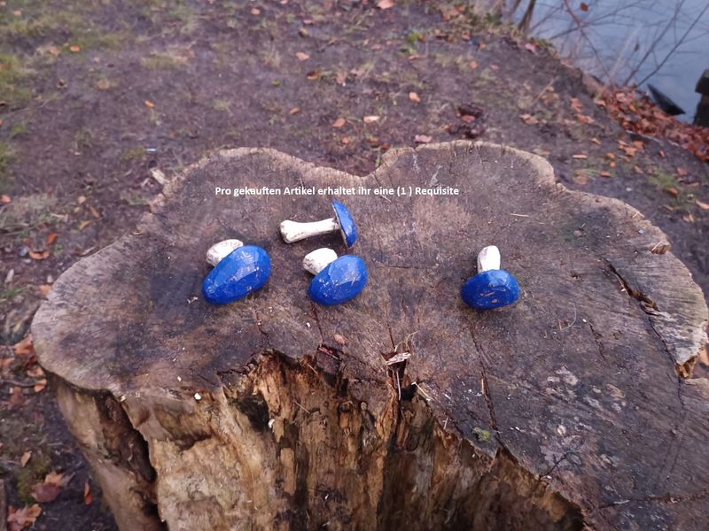 Blaukappe (Pilz) Blaukappe (Pilz)