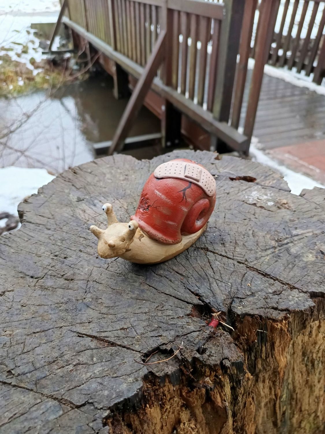 Verletzte  Rennschnecke