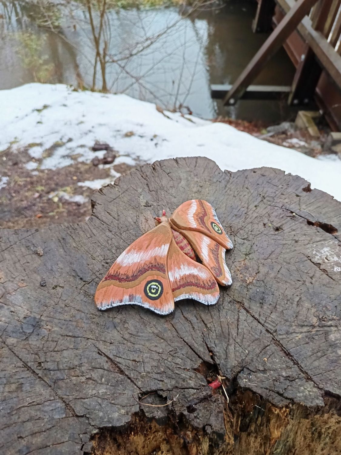 Prachtfalter aus dem Düsterwald