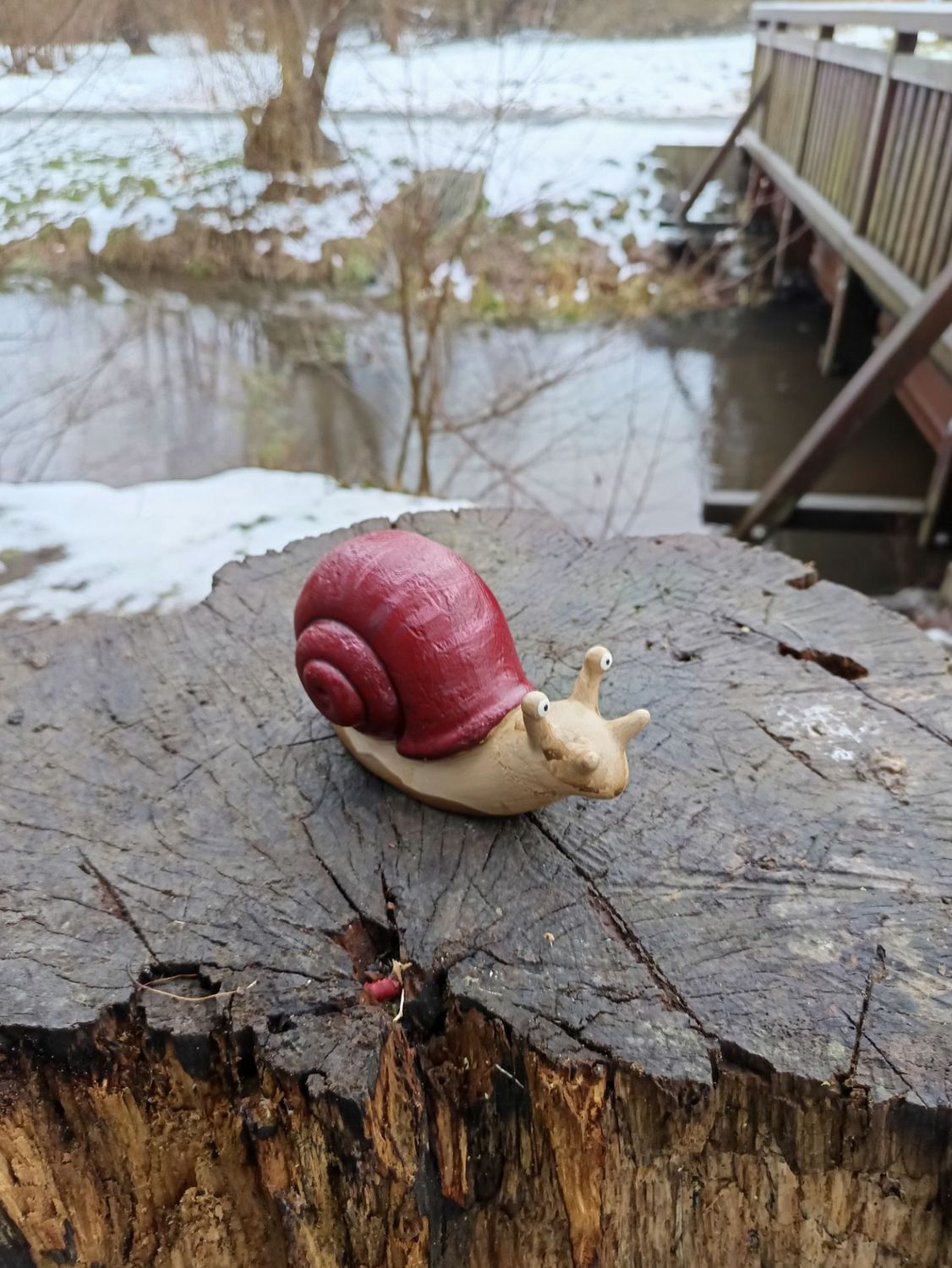 Rote Weinberg Rennschnecke