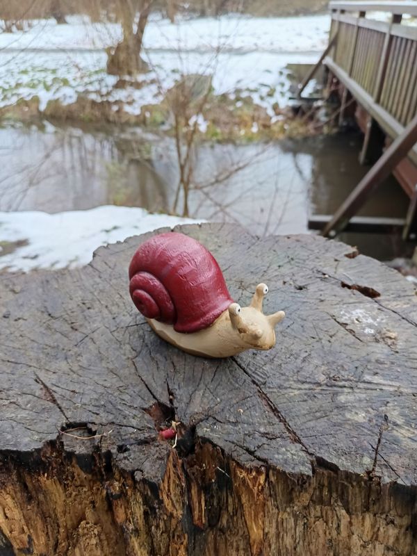 Rote Weinberg Rennschnecke Rote Weinberg Rennschnecke