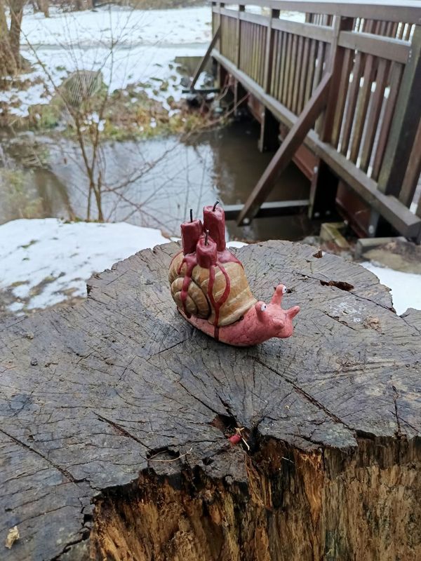 Kerzenschnecke, der kleine Bibliotheksleuchter Kerzenschnecke, der kleine Bibliotheksleuchter