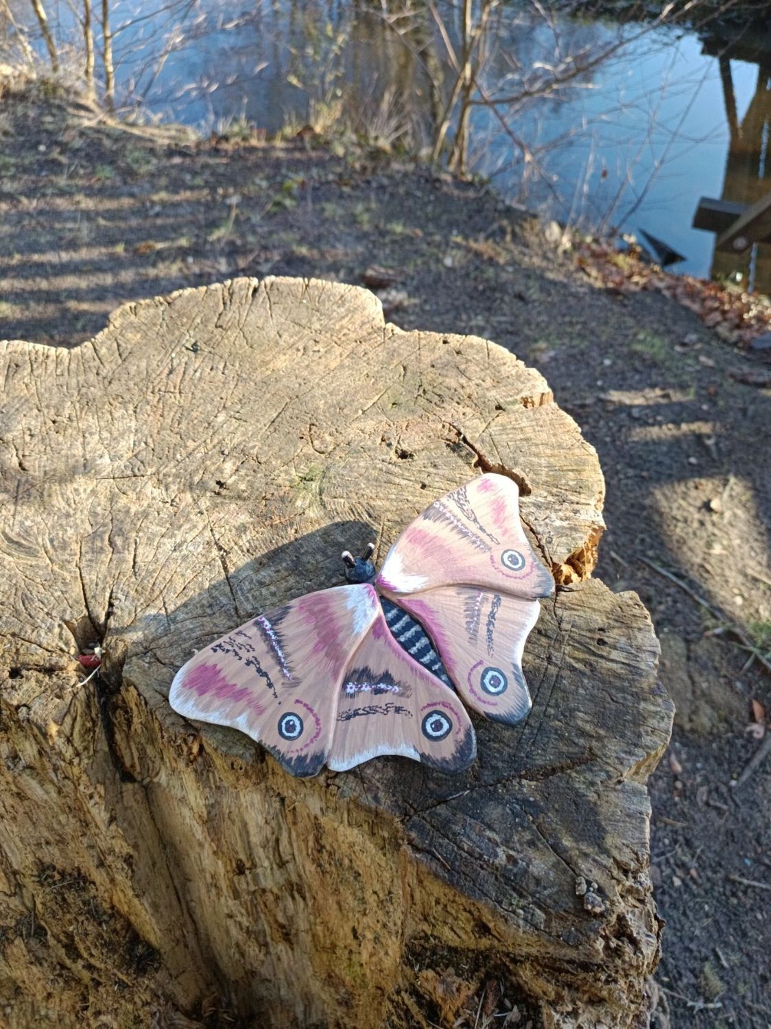 Prachtfalter aus dem Düsterwald