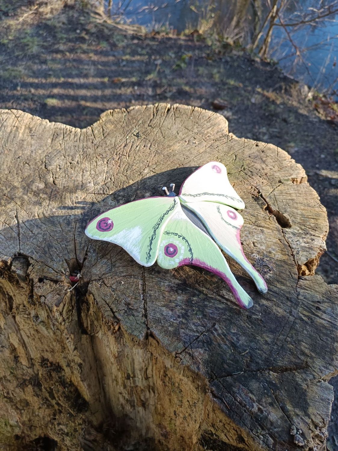 Grüner Prachtfalter aus dem Düsterwald