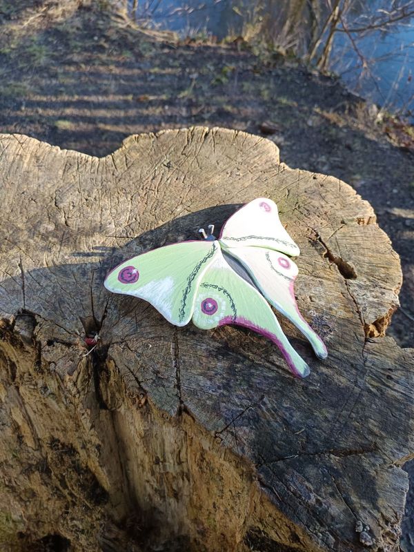 Grüner Prachtfalter aus dem Düsterwald Grüner Prachtfalter aus dem Düsterwald