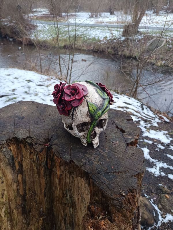 Bewachsener Schädel aus dem Finsterholzdickicht