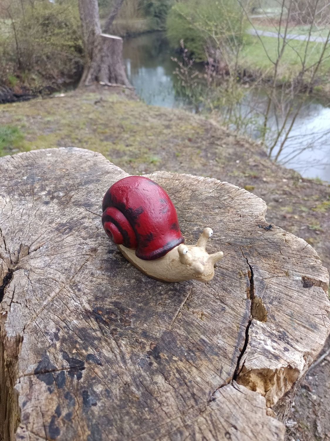 Rote Rennschnecke