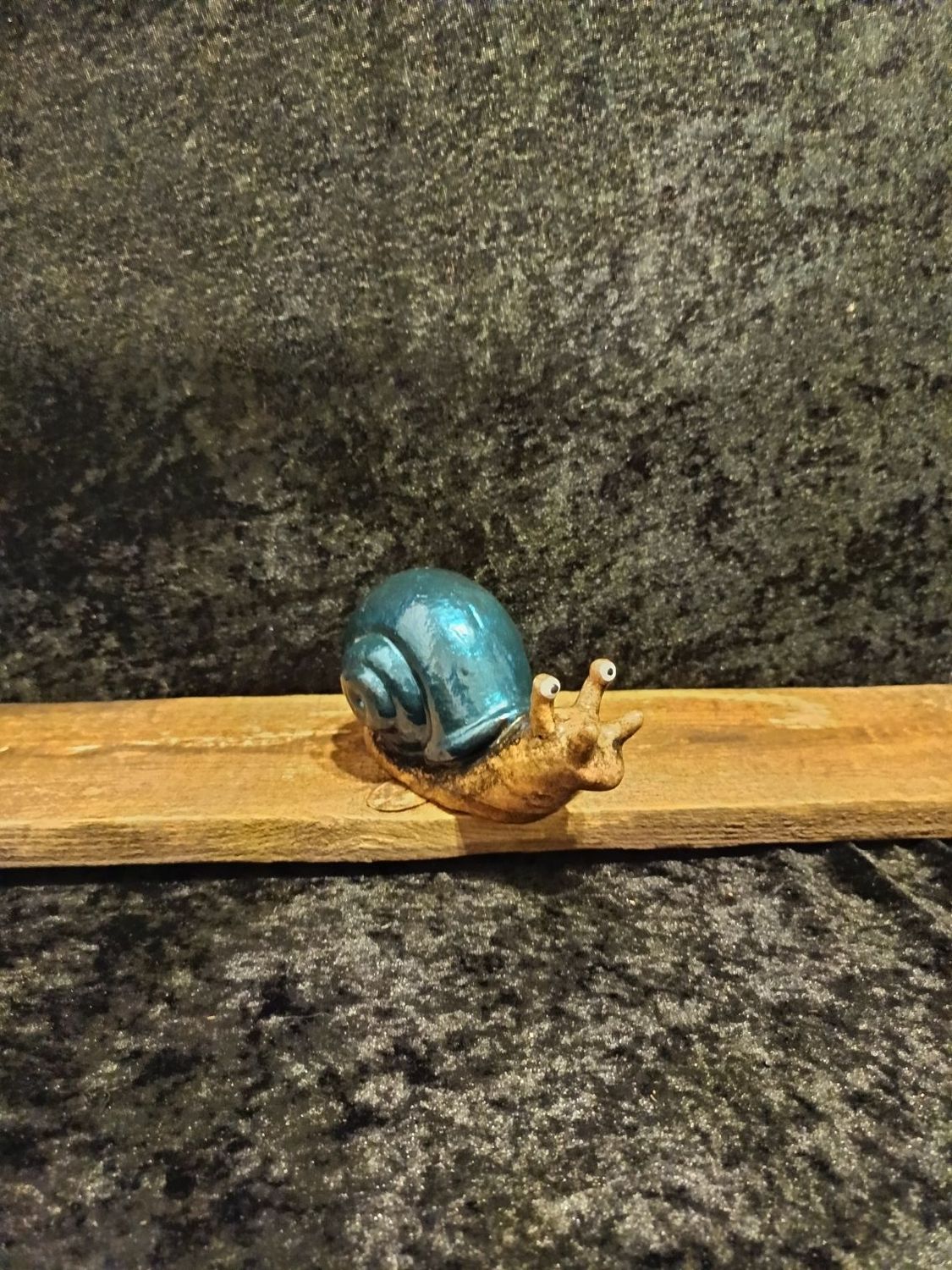 Blaue Rennschnecke