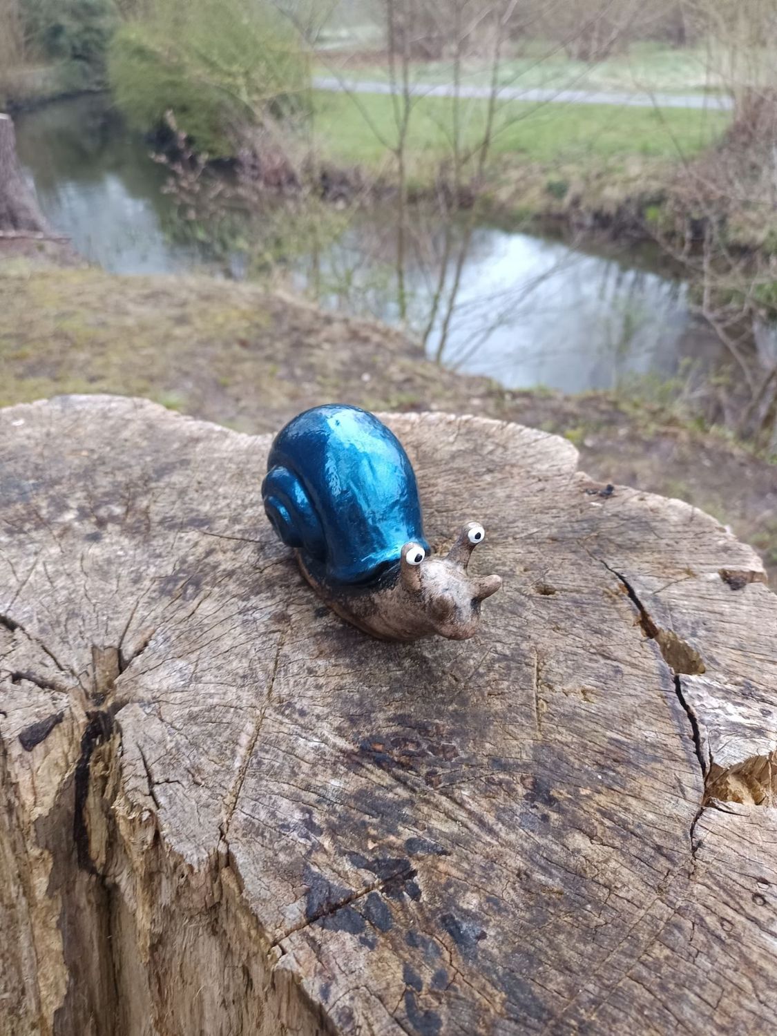 Blaue Rennschnecke