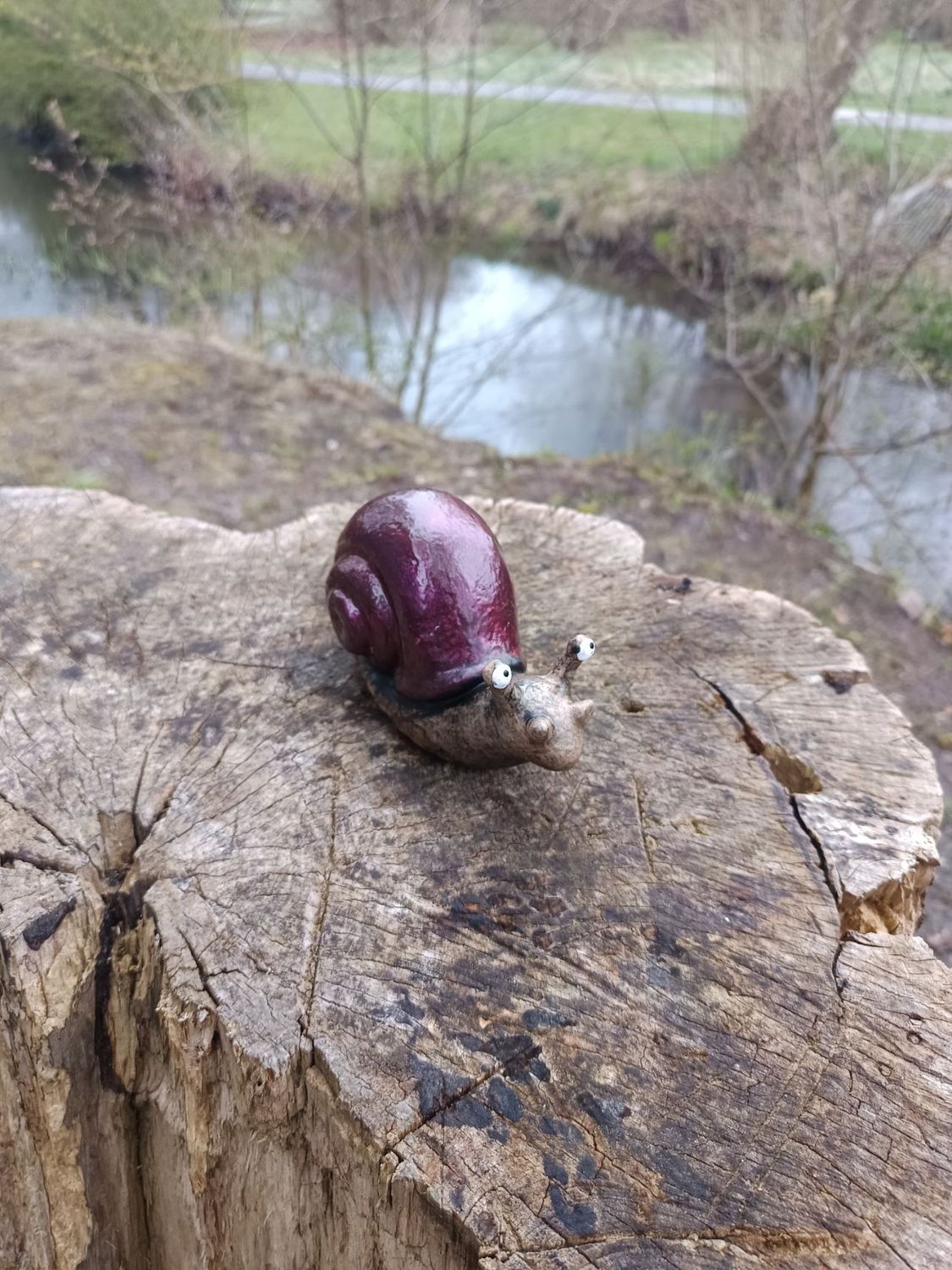 Lila Rennschnecke Lila Rennschnecke