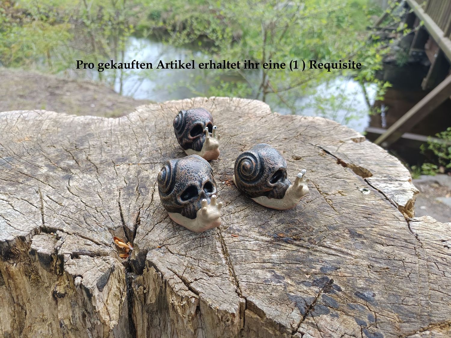 "Snull"  kleine Totenkopf Rennschnecke