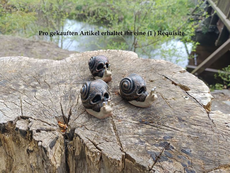 "Snull"  kleine Totenkopf Rennschnecke
