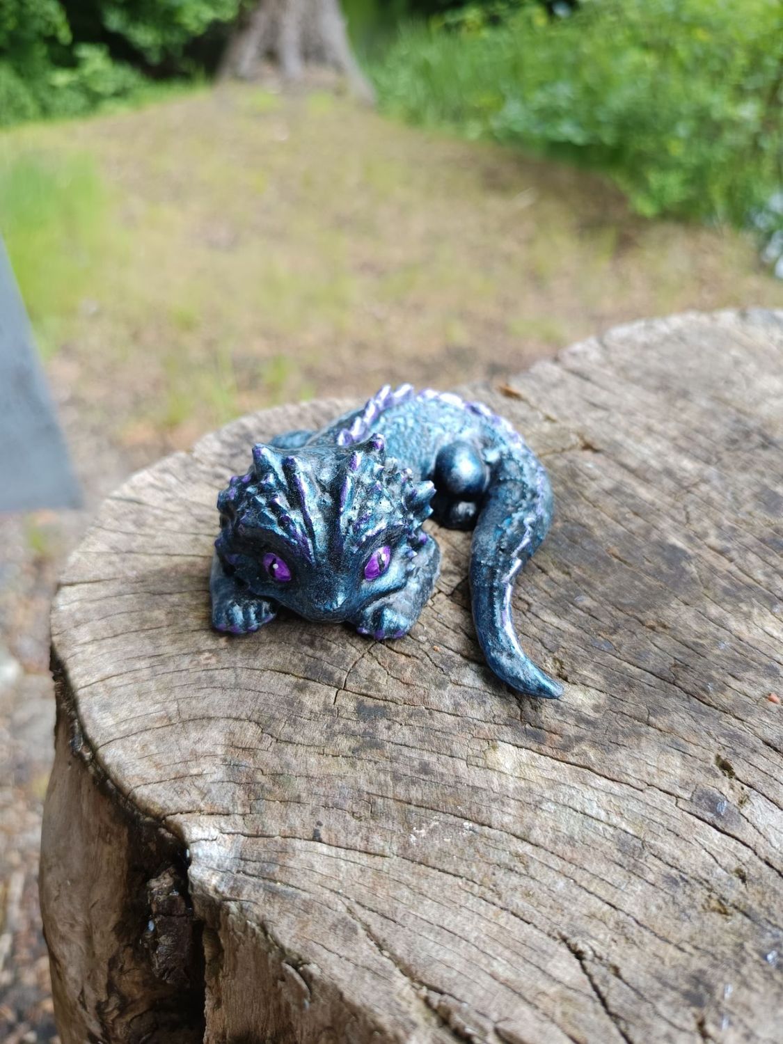 Kleiner Zwielicht Drache Kleiner Zwielicht Drache