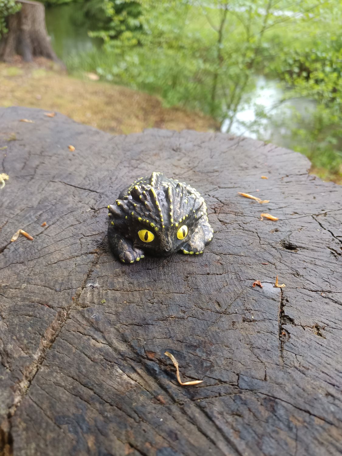 Kleiner liegender Sturmdrache
