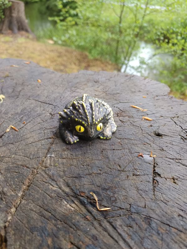 Kleiner liegender Sturmdrache