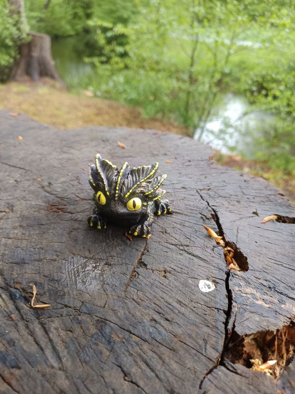 Kleiner Sturmdrache