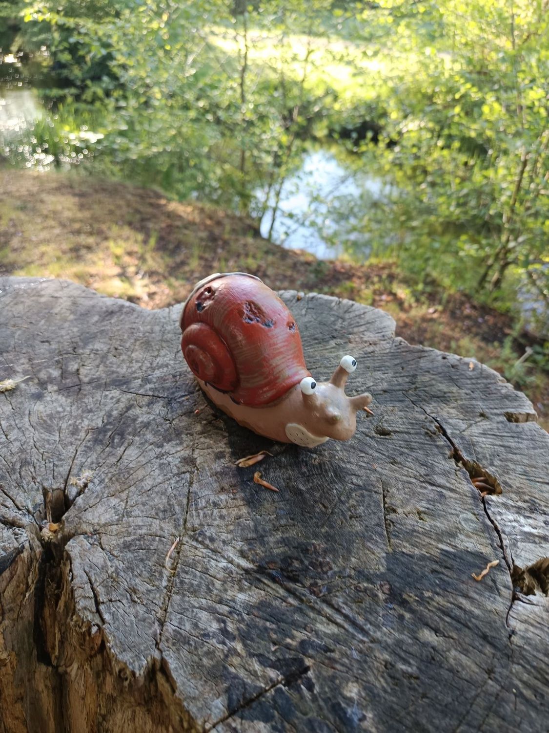 Verletzte Rennschnecke
