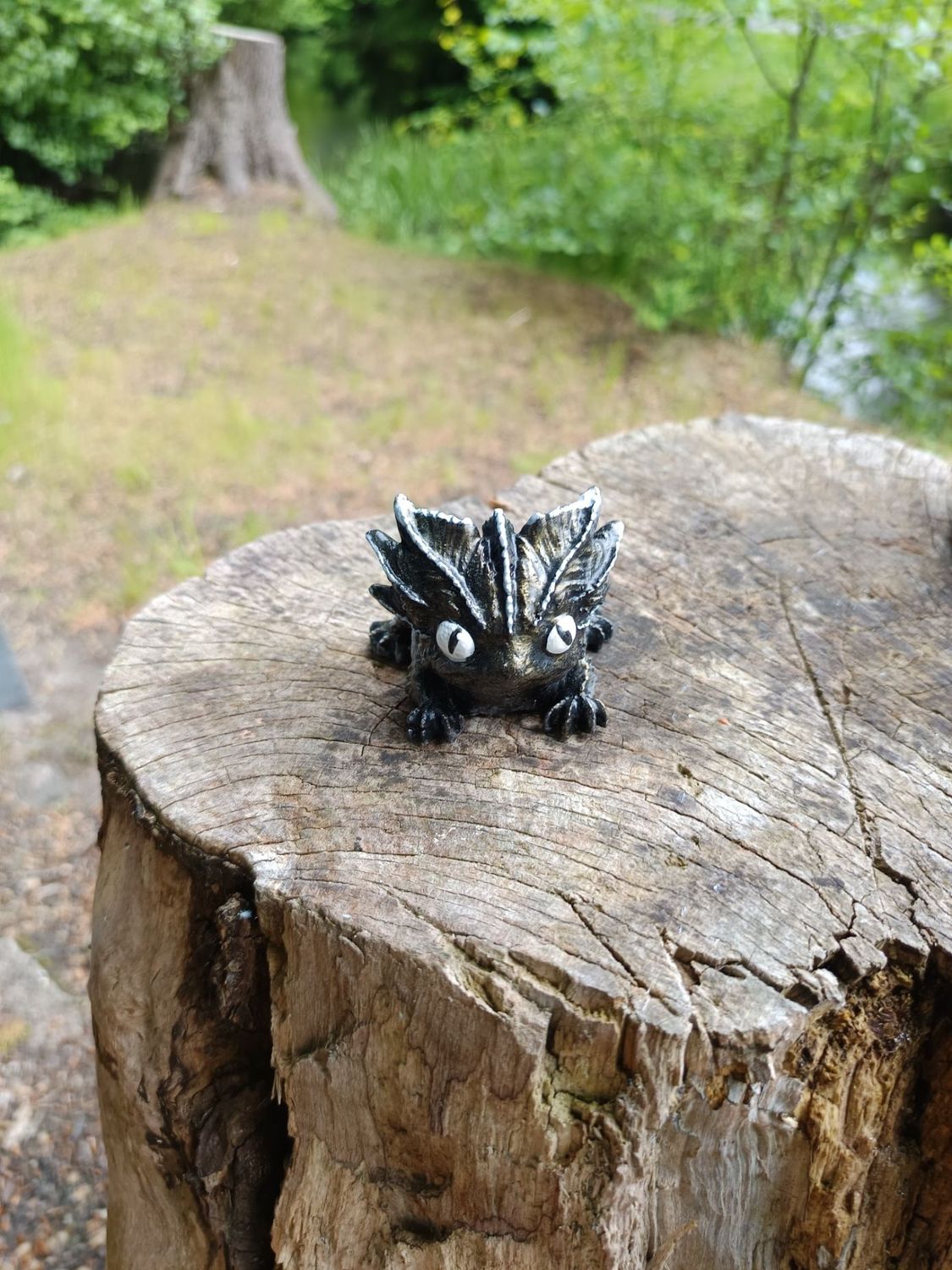 Kleiner Sturmdrache Kleiner Sturmdrache