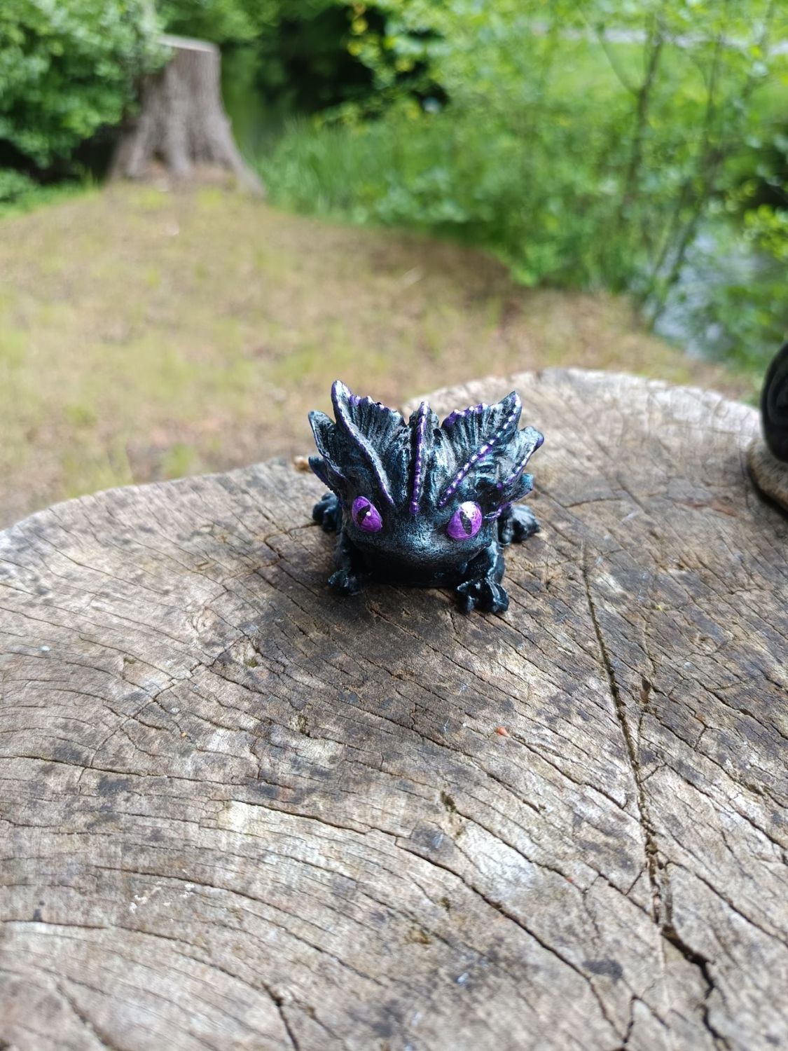 Kleiner Zwielicht Drache