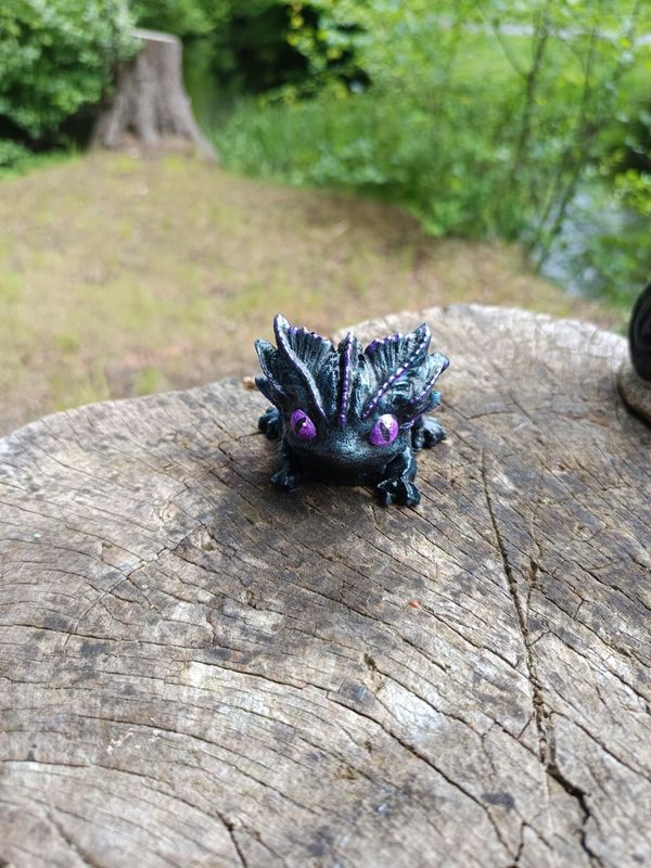 Kleiner Zwielicht Drache