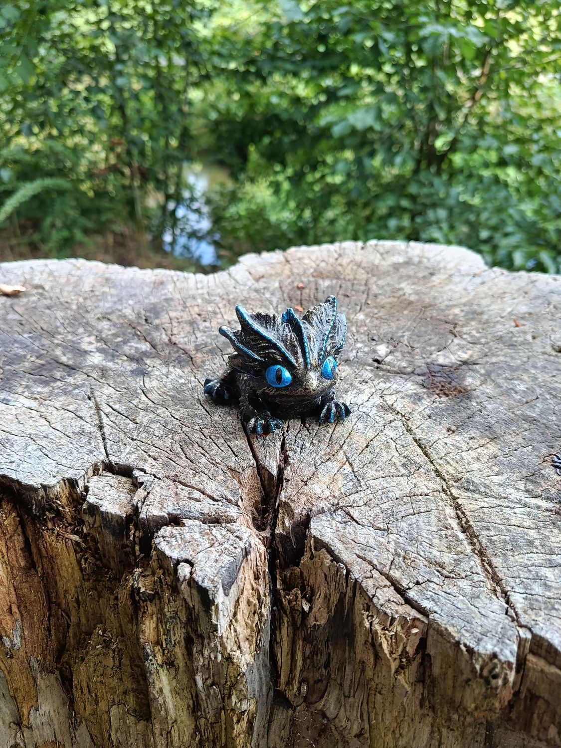 Kleiner Zwielicht Drache Kleiner Zwielicht Drache