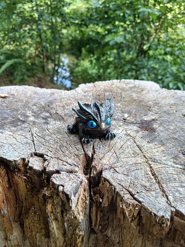 Kleiner Zwielicht Drache Kleiner Zwielicht Drache