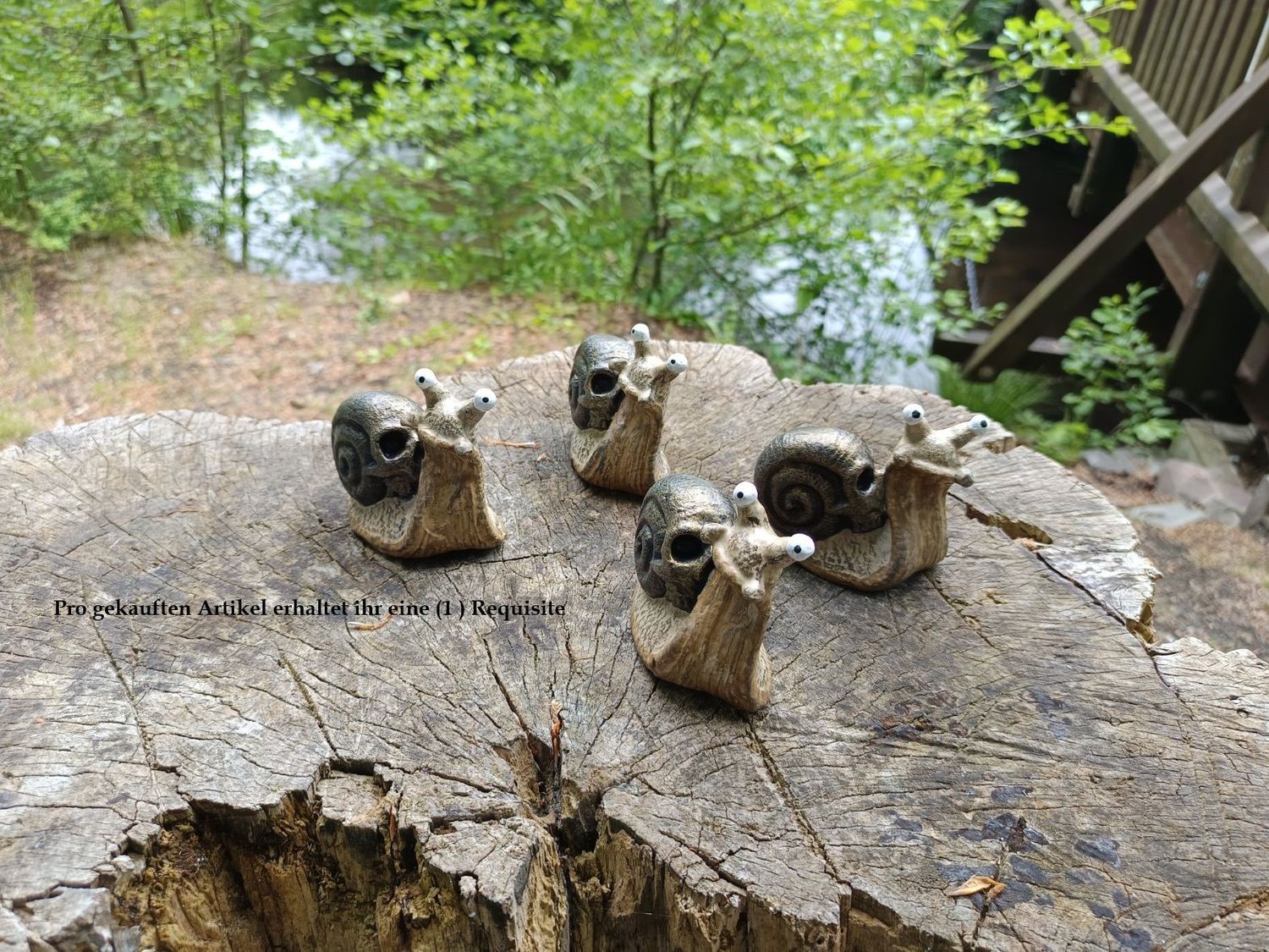 "Snull" großeTotenkopf Rennschnecke