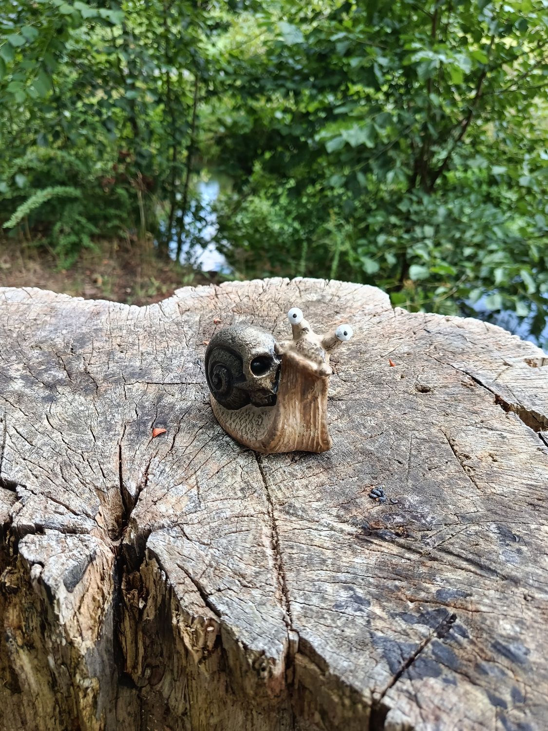 "Snull" Totenkopf Rennschnecke