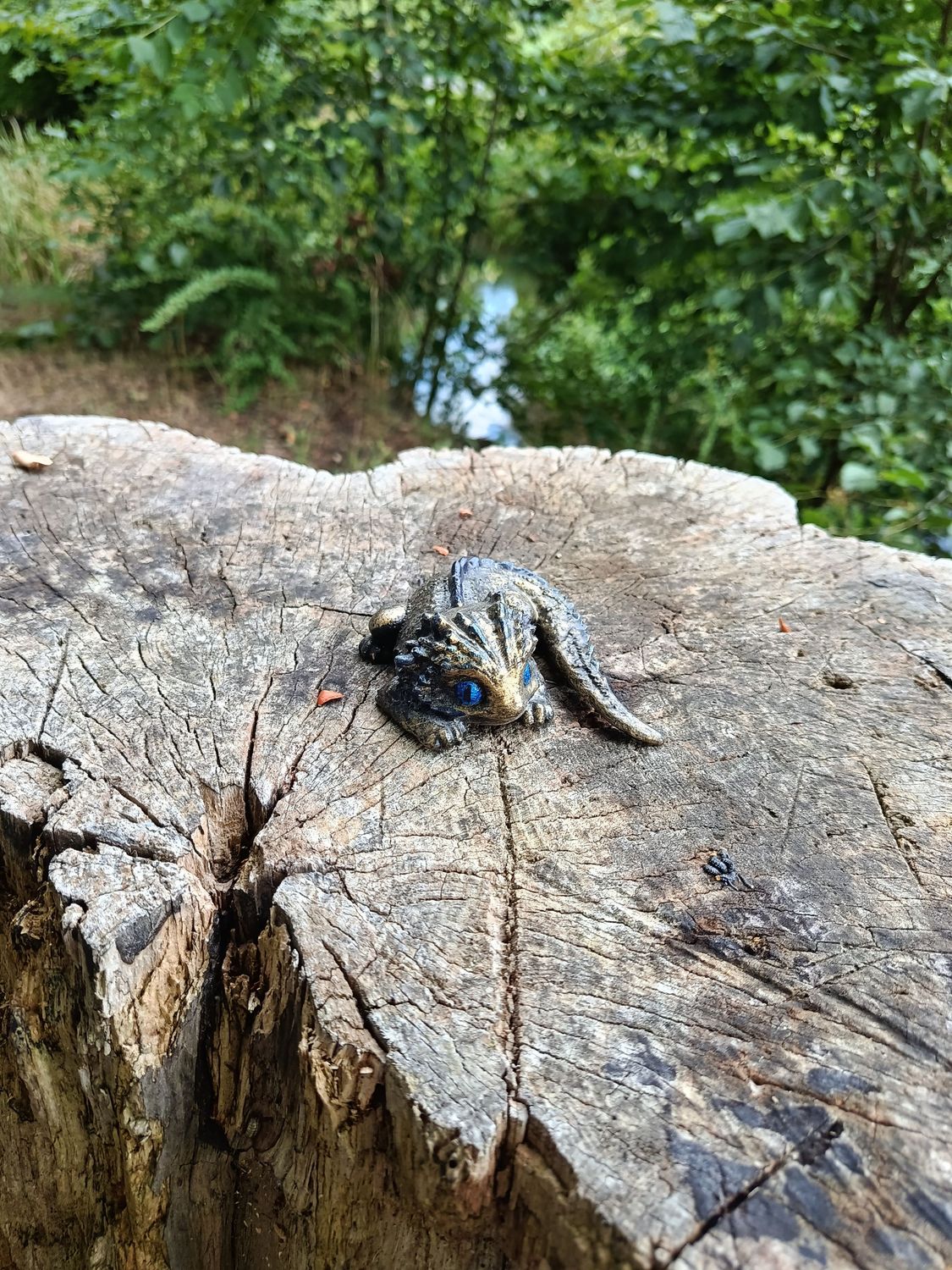Kleiner Sturmdrache Kleiner Sturmdrache