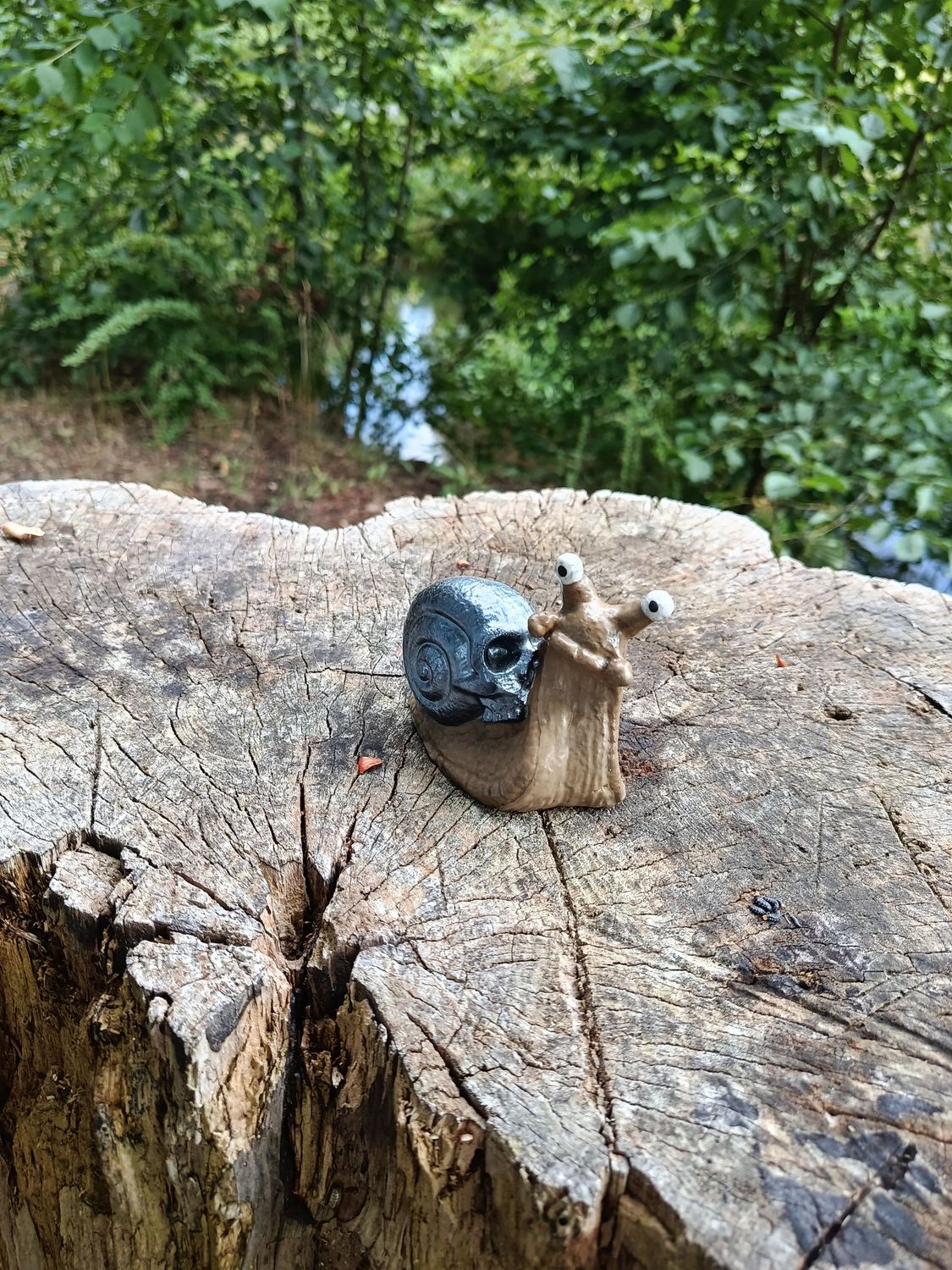 "Snull" Totenkopf Rennschnecke