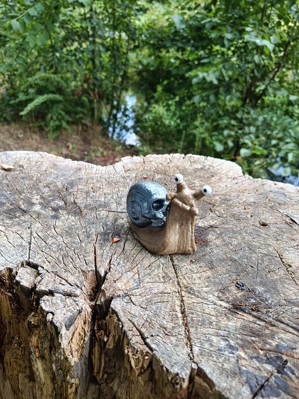 "Snull" Totenkopf Rennschnecke