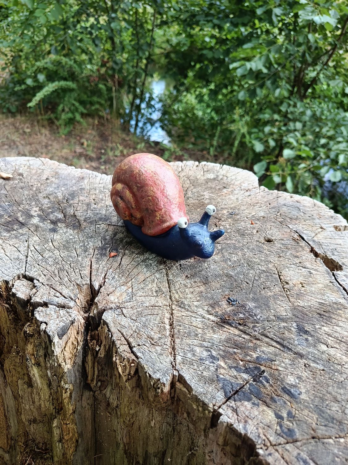 Blaue Rennschnecke Blaue Rennschnecke