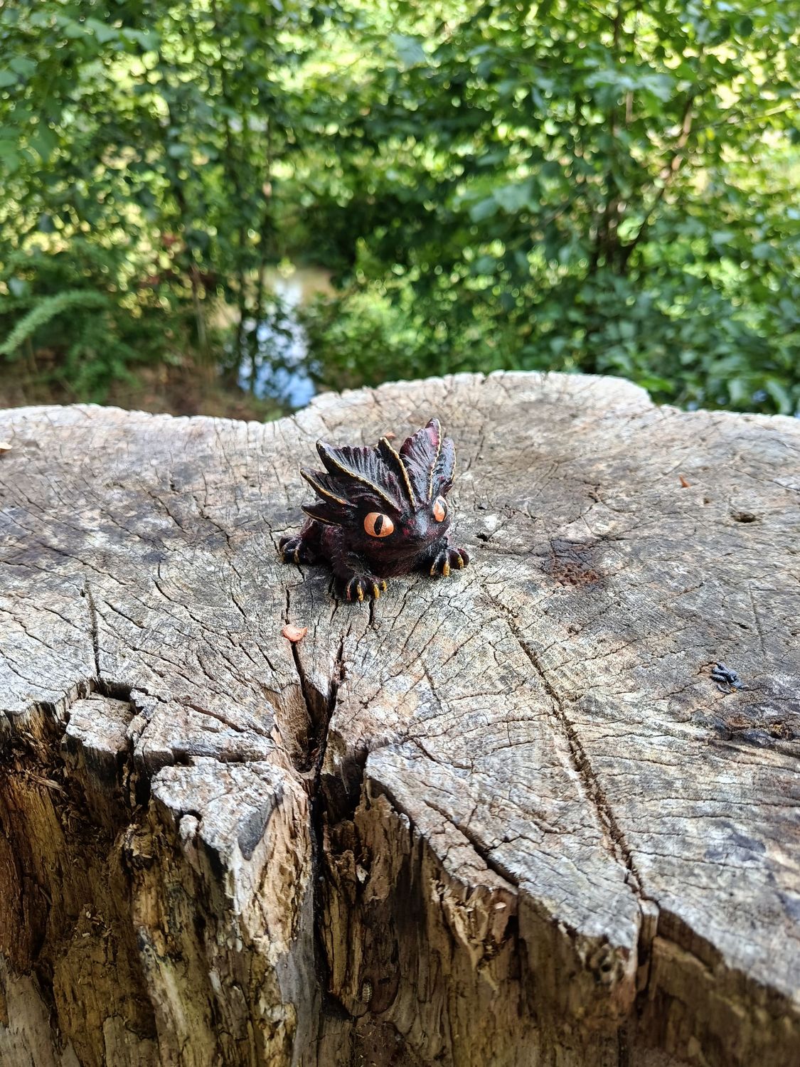 Kleiner Zwielicht Drache Kleiner Zwielicht Drache