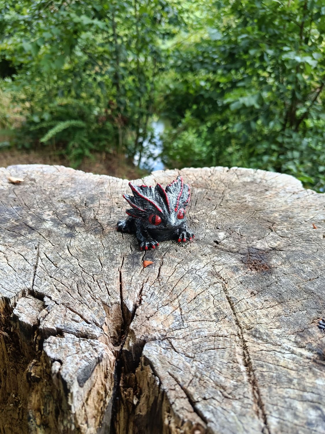 Kleiner Zwielicht Drache Kleiner Zwielicht Drache