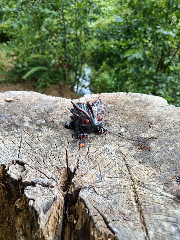 Kleiner Zwielicht Drache Kleiner Zwielicht Drache