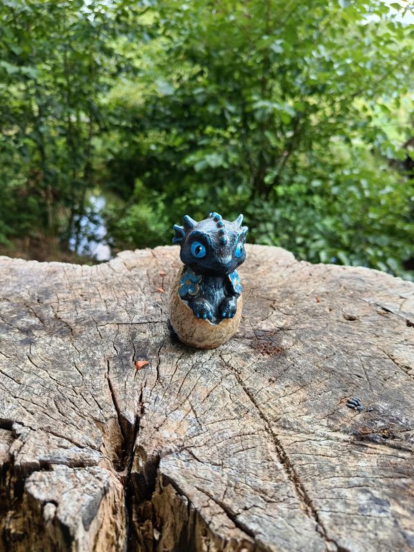 Kleiner Drache im Ei Kleiner Drache im Ei