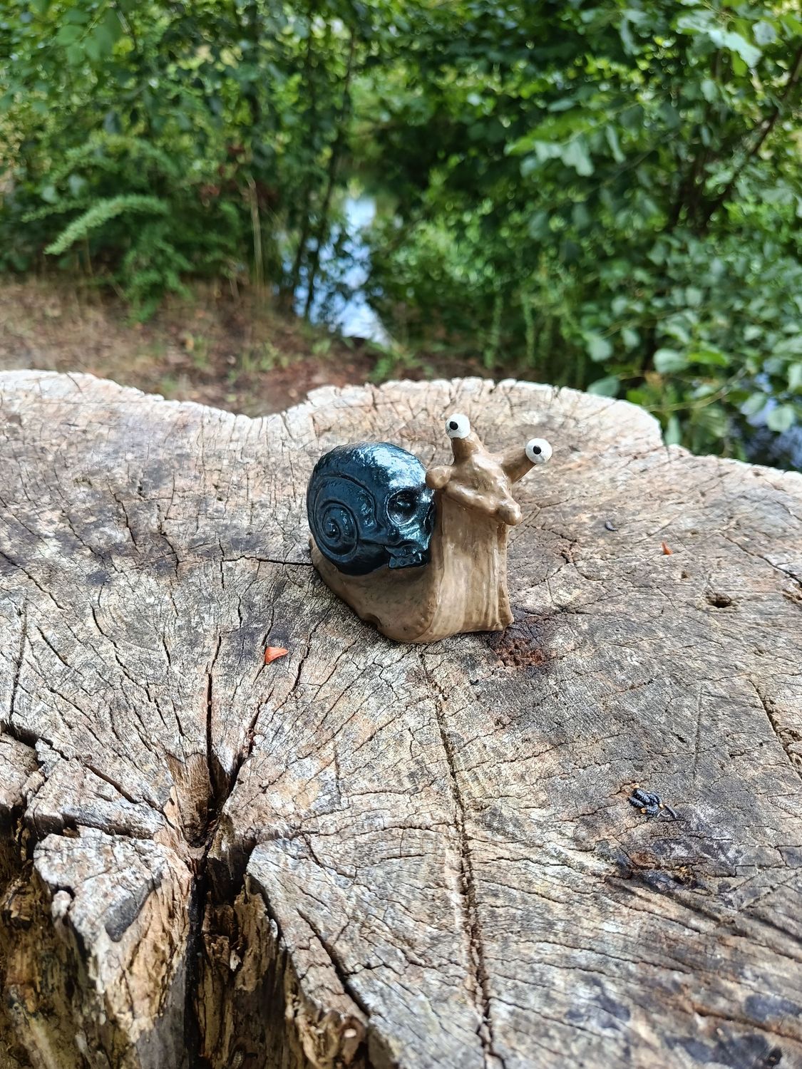 "Snull" Totenkopf Rennschnecke