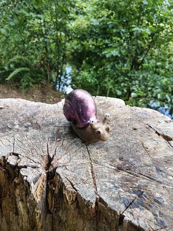 Lila Rennschnecke Lila Rennschnecke