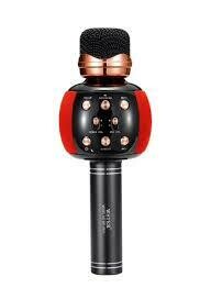 Micro phone speaker