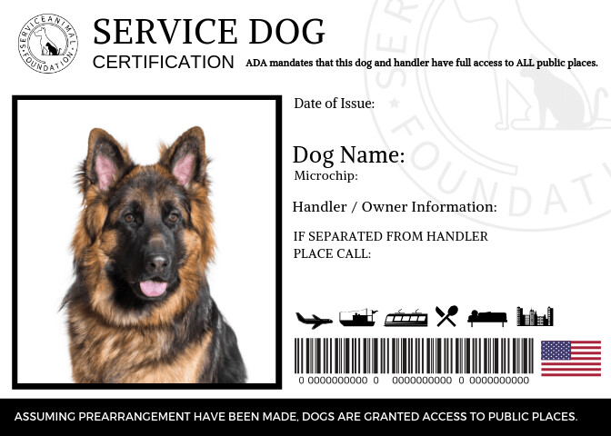 Service Dog Identification