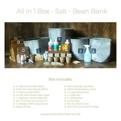 The Bean Bank - All in 1 Box The Bean Bank - All in 1 Box