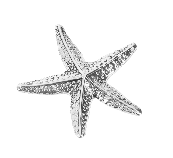 Star/ Sea Charms By Ganz