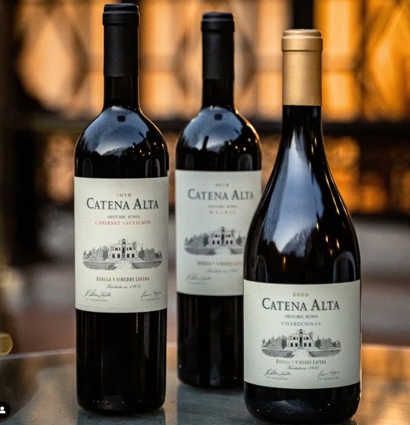 Catena Alta Blending Experience at Envy Wine Room