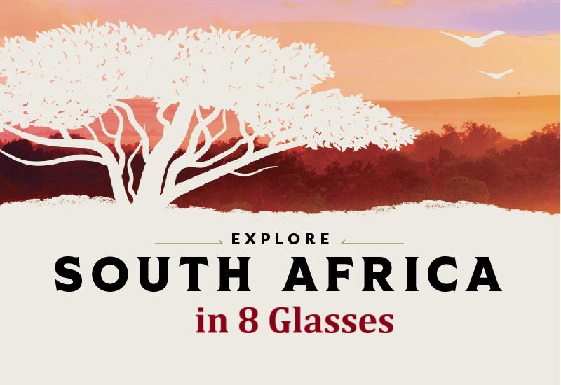 South Africa in 8 Glasses at Envy Wine Room
