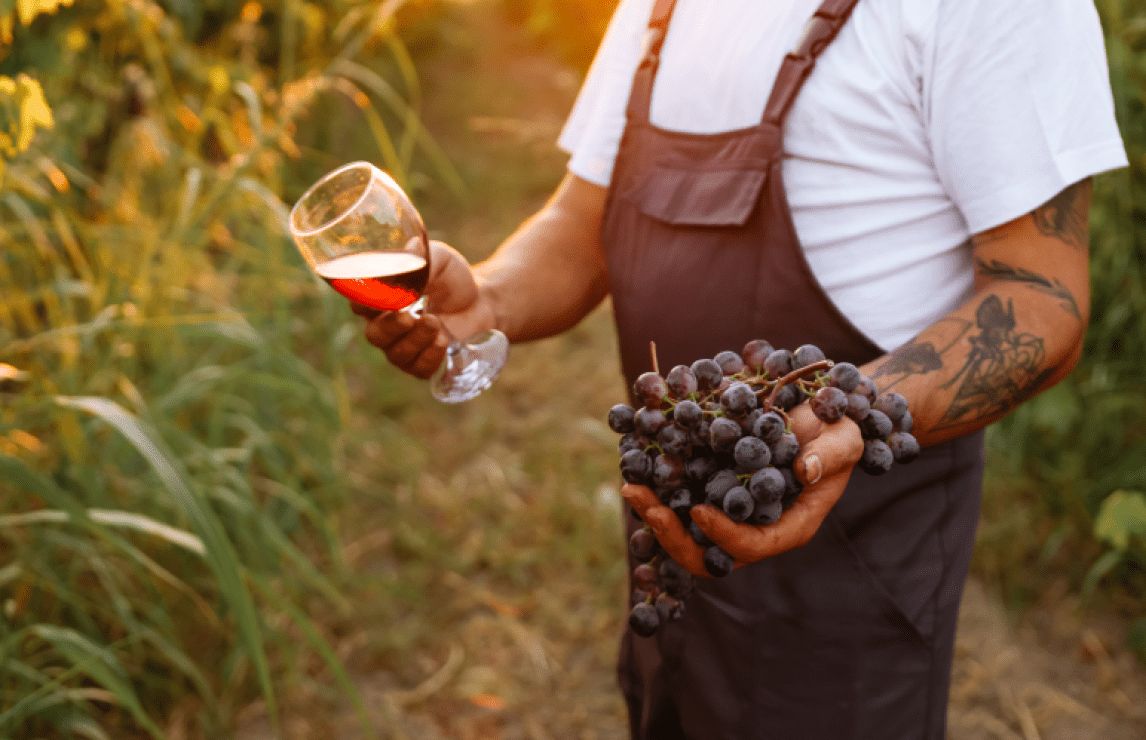 Turkey in 8 Glasses Class