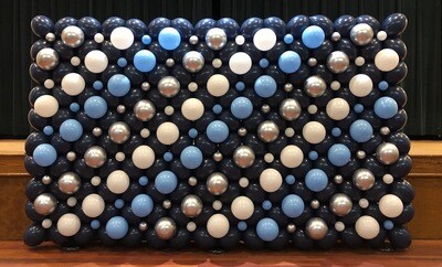 Balloon wall backdrop, indoors, traditional single layer (even sized bubbles)