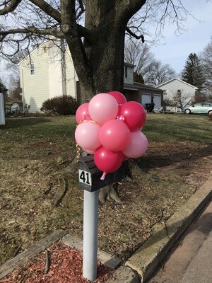 Balloon pompom